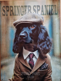Springer Spaniel . Peaky Paws Club.    Metalen wandbord 40 x 30 cm .