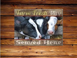 Farm Fresh Milk Served Here  Metalen wandplaat 31,5 x 40,5 cm