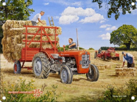 Massey-Ferguson 35  Als de zon schijnt.   Metalen wandbord 30 x 40 cm