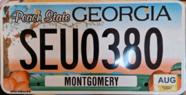 Georgia orginele license plate  .
