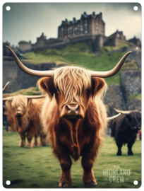 Cow Edingburgh Castle Highland Crew Metalen wandbord 40 x 30 cm .