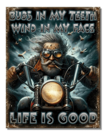 Old Biker. Metalen wandbord 31,5 x 40,5 cm.