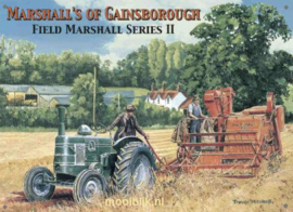 Marshall's of Gainsborough Metalen wandbord 30x40 cm