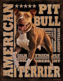 American Pitbull.  Metalen wandbord 31,5 x 40,5 cm.