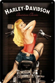 Harley-Davidson American Classic Red Biker Babe Metalen Postcard 10 x 14 cm