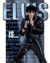 Elvis is...  Metalen wandbord 31,5 x 40,5 cm.