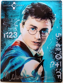 Harry Potter "Celebrity Icons" Collectie Metalen wandbord in reliëf 30 x 40 cm.