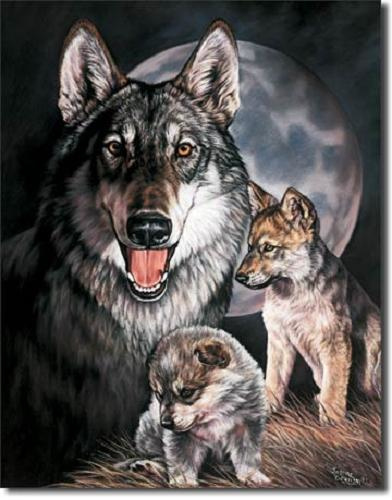 Wolf met jongen Metalen wandbord 31,5 x 40,5 cm.