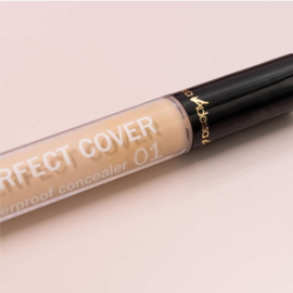 Adessa PERFECT COVER waterproof concealer 01