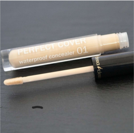 Adessa PERFECT COVER waterproof concealer 01