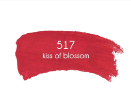 Adessa Creamy Lips lipstick, kiss of blossom #517, 5g