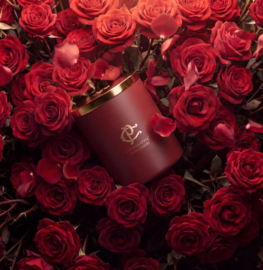ROSÉA - Geurkaars 400 g