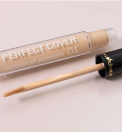 Adessa PERFECT COVER waterproof concealer 01