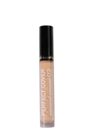 Adessa PERFECT COVER waterproof concealer 02