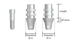 Temporary Abutment Hex