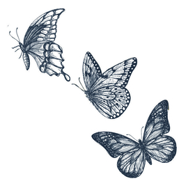 41 Flight of butterflies