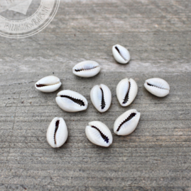 Natural Shell Charm  Grey / 10 pcs