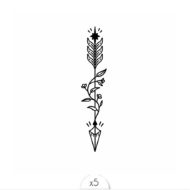 44 Bohemian arrow