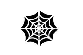 263 Spider Web