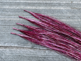 Glitterextensions Old Pink (5 pcs)
