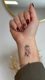 46 Black rose