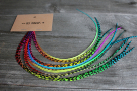 Rainbow feathers 28-33 cm / 10 stuks