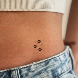 48 Animal paws