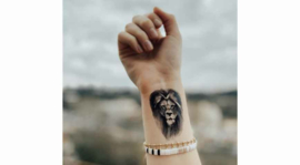 14 Lion