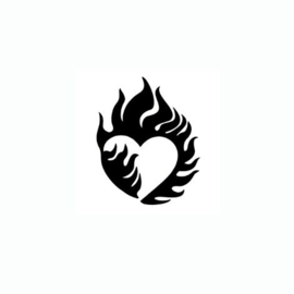 382 Heart Fire set 5 stuks