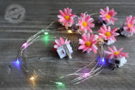 Flower lights Roze flower / Multi lights  ( set 5 stuks )