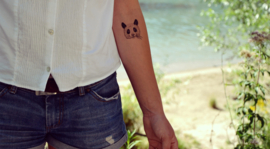 58 Panda