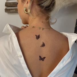 41 Flight of butterflies