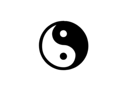 63 Ying Yang Perfect set 5 stuks