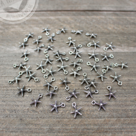 Starfish bedels / set 10 stuks