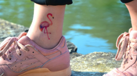 Flamingo