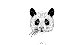 58 Panda