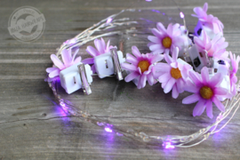 Flower lights Lila Flower / Lila lights ( set 5 pcs )