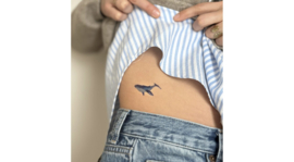 The blue whale