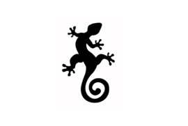 149 Gecko