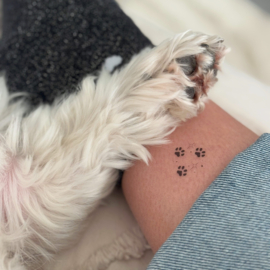 48 Animal paws