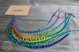 Rainbow feathers 28-33 cm / 10 stuks