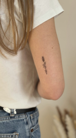 44 Bohemian arrow