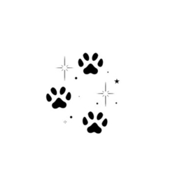 48 Animal paws