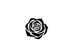 381 Rose set 5 stuks