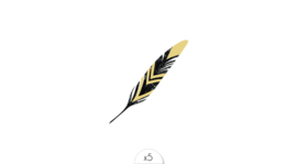 Golden and black feather