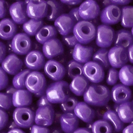 Miyuki Tillandsia Purple