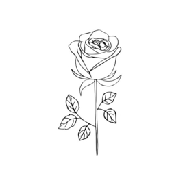 46 Black rose