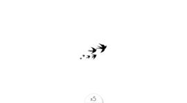33 Bird flight