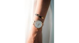Golden and black feather