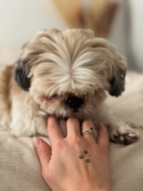 48 Animal paws